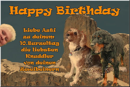 sprüche zum geburtstag.com