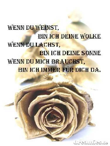 7kb29y8k.jpg aus dem Album ROSENBILDER MIT TEXT von sven8957